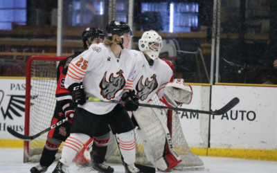 Rhinos Shutout Drillers, 4-0, and Win Series