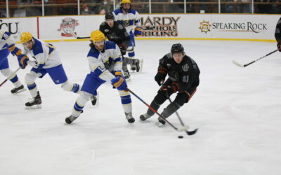 Rhinos Sweep Ice Bats