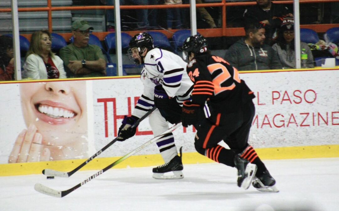 Rhinos Brawl with Brahmas