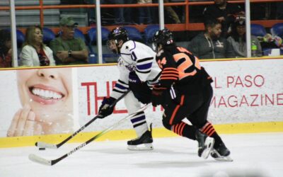 Rhinos Brawl with Brahmas